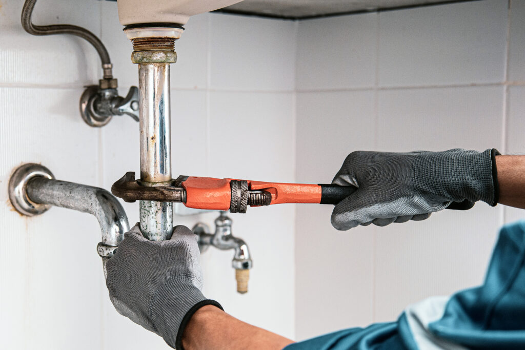 Leak Detection in Seneca